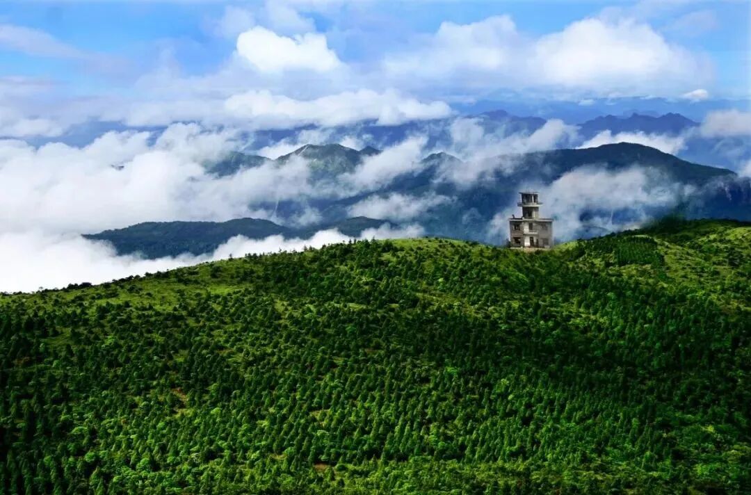 “山”字系的故事
