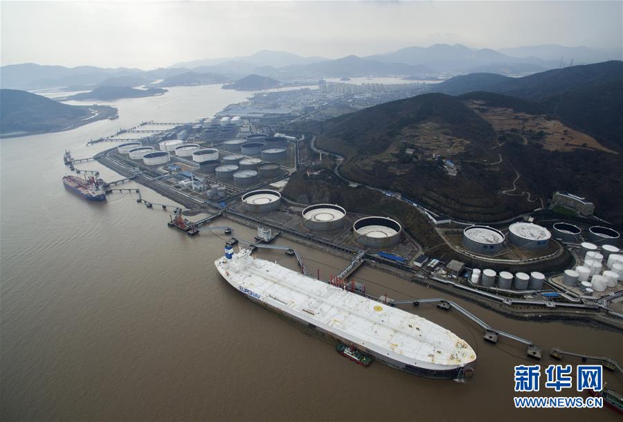 全球最大船停泊宁波舟山港