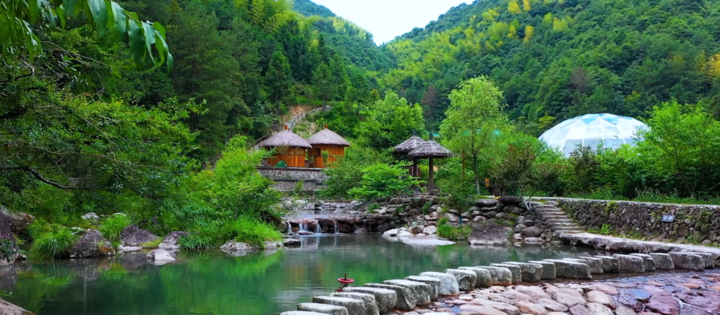 记者蹲点泰顺大溪源蝴蝶谷，大山深处，相逢蝴蝶经济