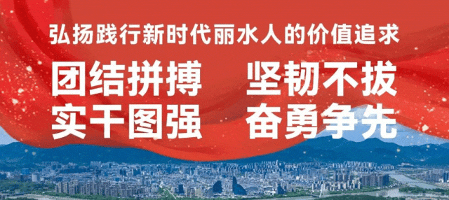 文化“新三样”国际传播季采风活动走进青田 图片