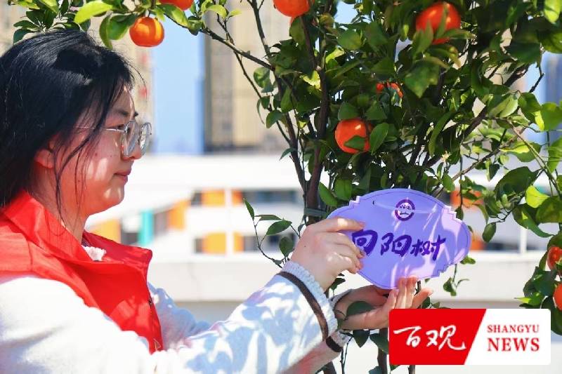 六年之约!上虞这所小学把“时间胶囊”埋进了“明德林” 六年之约!上虞这所小学把“时间胶囊”埋进了“明德林”