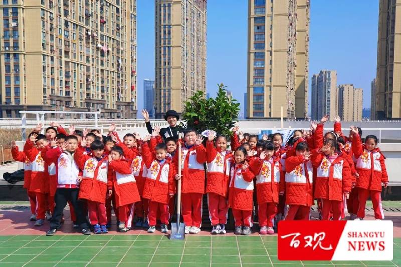 六年之约!上虞这所小学把“时间胶囊”埋进了“明德林” 六年之约!上虞这所小学把“时间胶囊”埋进了“明德林”