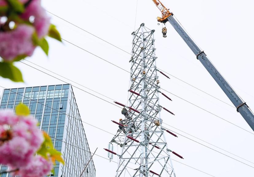 杭州市临安区优化区域电网布局为产业“赋能”