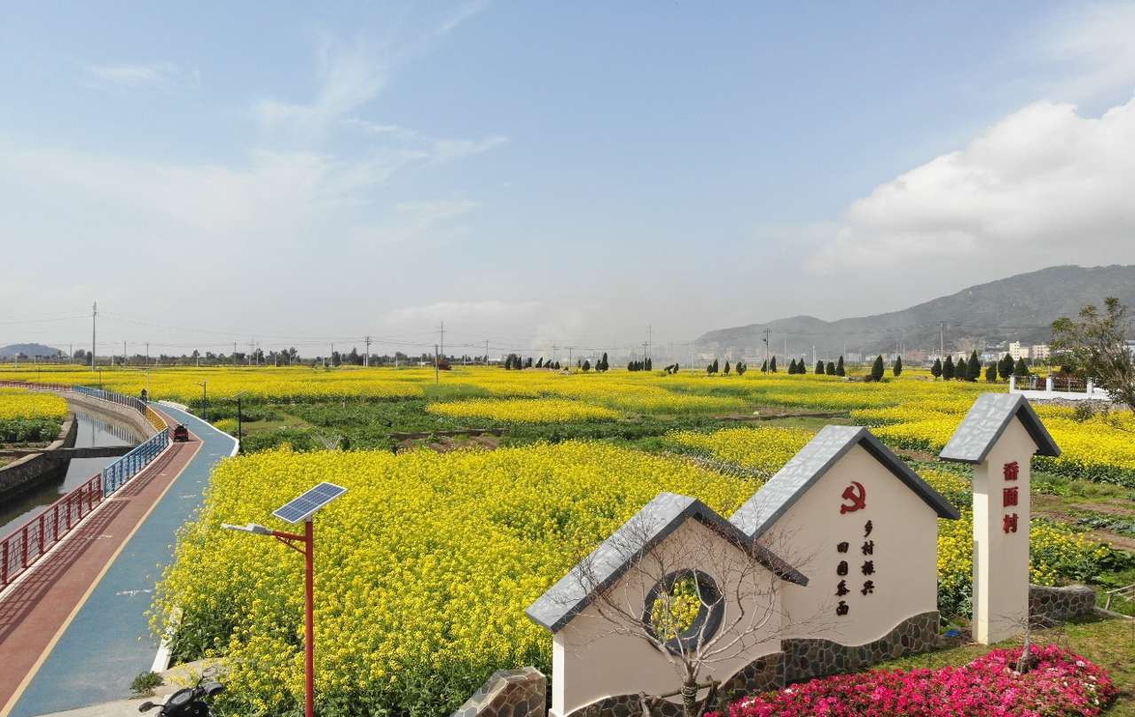 浙江温州：农旅融合绘就“花漾海岛”共富图