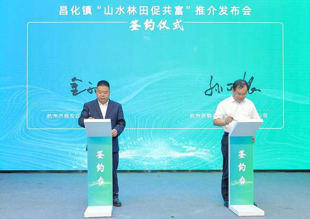 饱含“真情”更具“实意”！杭州临安这场“山水林田”共富推介会“干货”满满