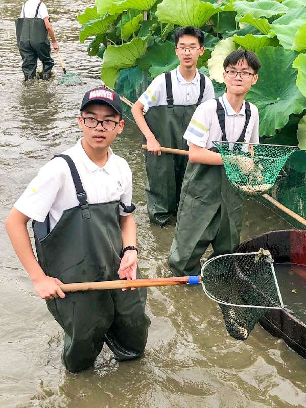 农遗“活化石”赋能乡村振兴，湖州南浔让桑基鱼塘系统“活”起来