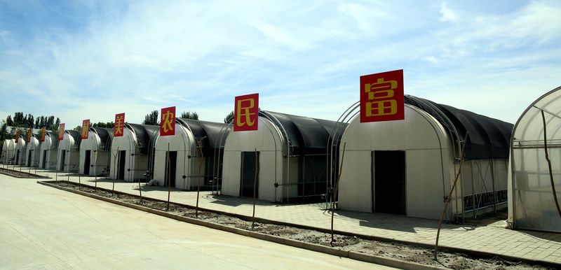 金华新村：天山脚下的乡村振兴样板