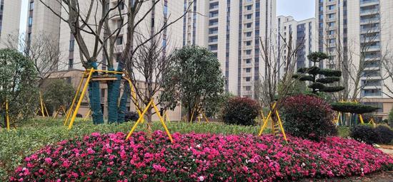 规模最大、美不胜收~这大概是鹿城安置房中的“天花板”了! 规模最大、美不胜收~这大概是鹿城安置房中的“天花板”了!