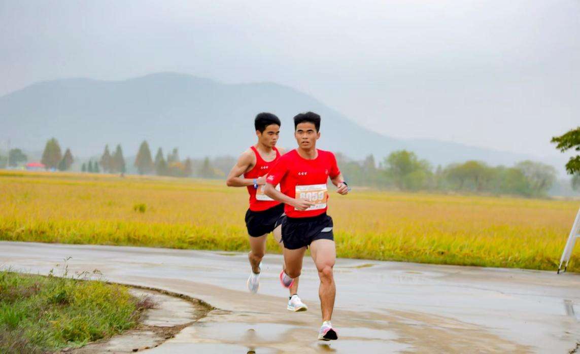 发展新“稻”路，浙江安吉天子湖丰收节 稻草人音乐节举行