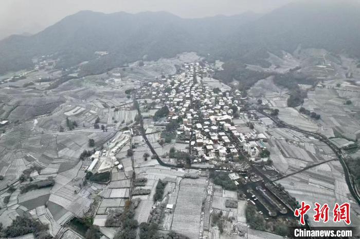 杭州西湖龙井被白雪覆盖 碧色与雪色交融