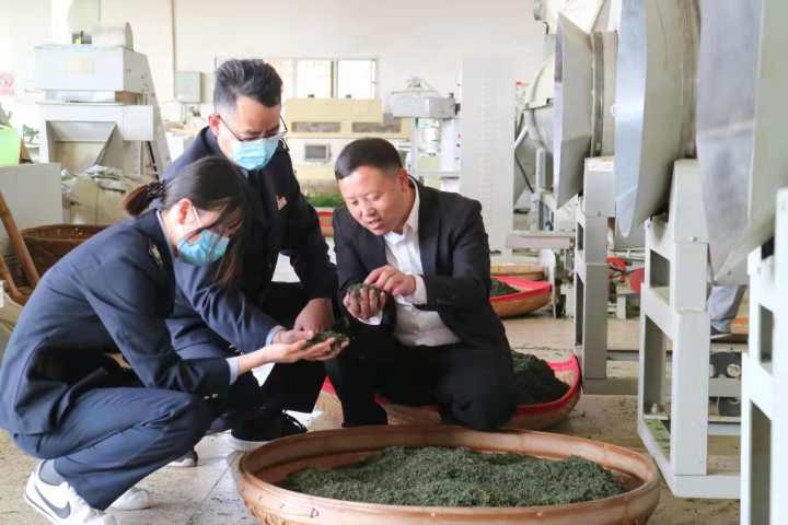 税惠助农 奏响浙南最美山城“共富曲”