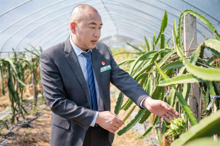 泰顺农行:以高质量金融服务助推共同富裕示范区样板建设 微信图片_20221206153447.jpg