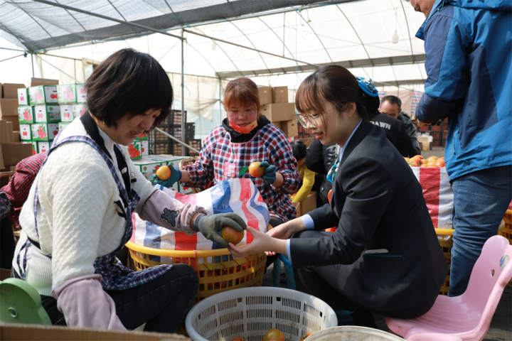 泰顺农行:以高质量金融服务助推共同富裕示范区样板建设 微信图片_20221206153547.jpg