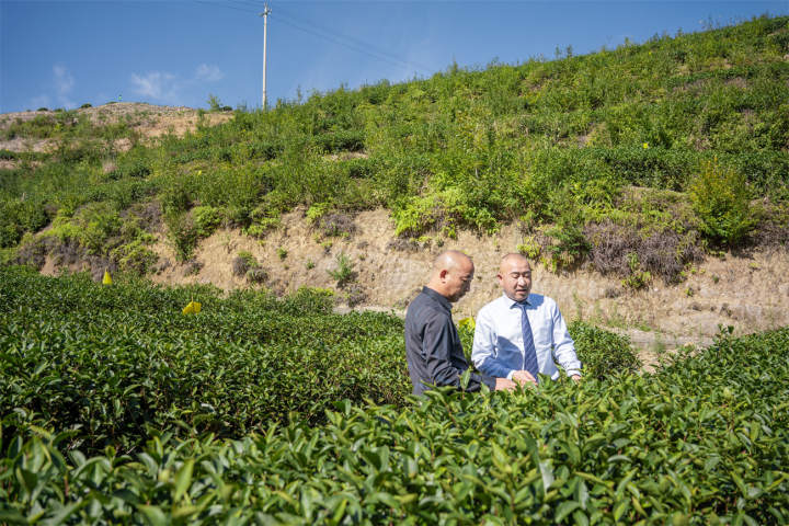 泰顺农行:以高质量金融服务助推共同富裕示范区样板建设 微信图片_20221206153551.jpg