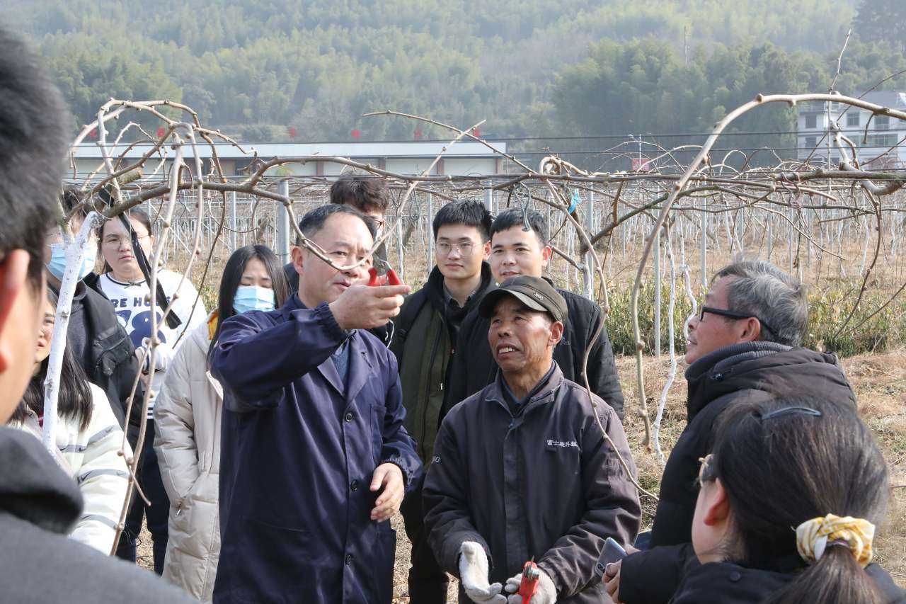 浙农林大专家教授“科技红包”助力基层农产品品质提升