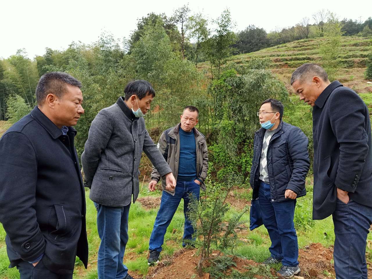 浙农林大专家教授“科技红包”助力基层农产品品质提升