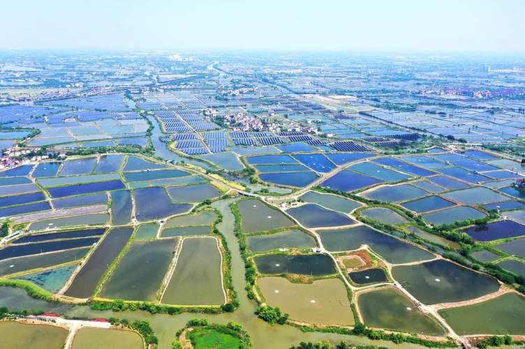 桑基鱼塘蝶变升级，浙江湖州南浔让农业文化遗产“活”起来