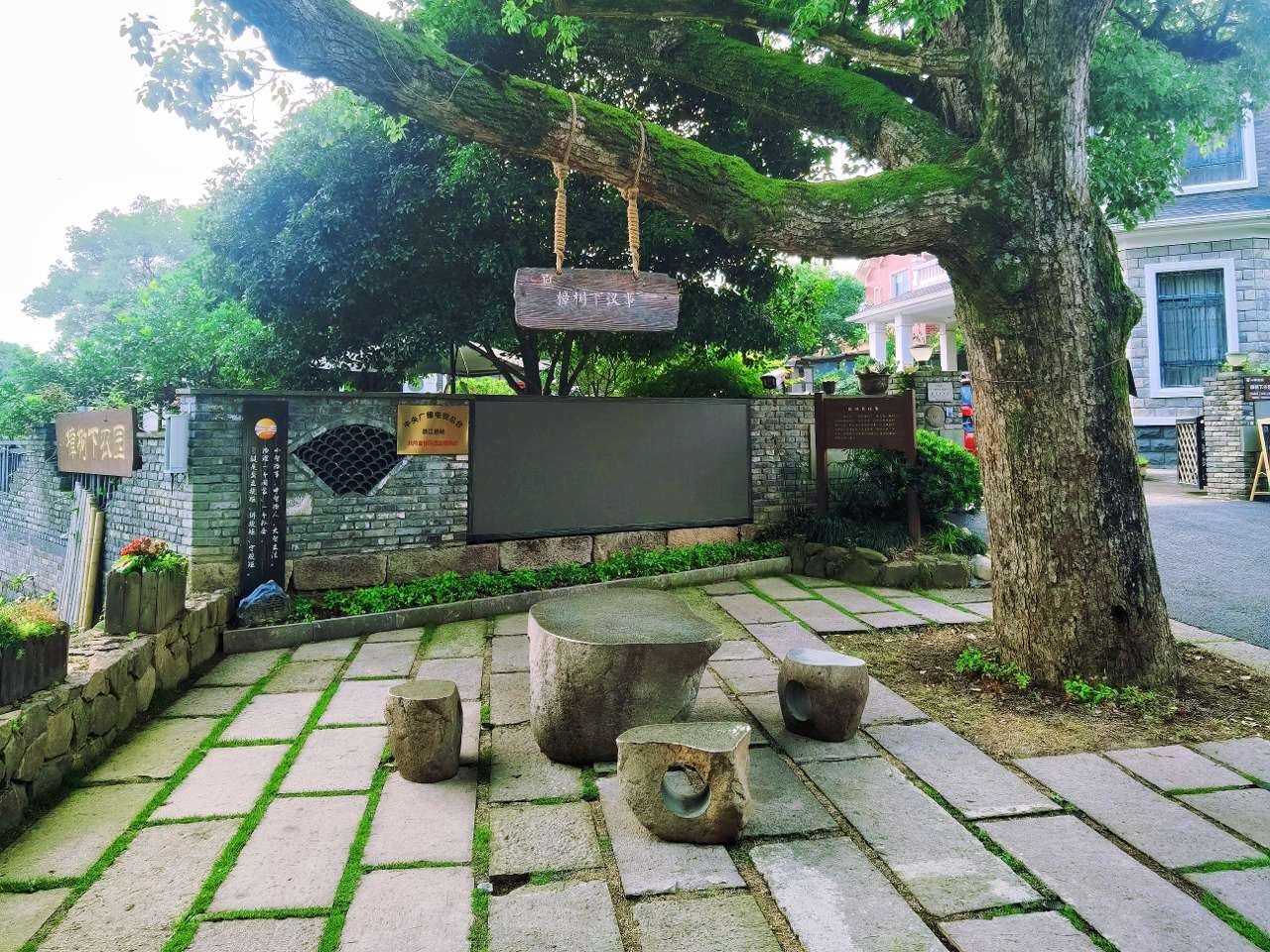 浙江余杭：众人合力打造景美人和的共富家园
