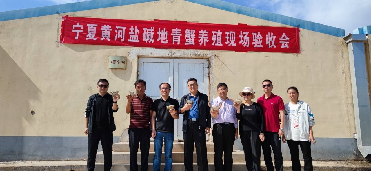 生在东海的三门青蟹 要把“第二故乡”安在宁夏戈壁滩？
