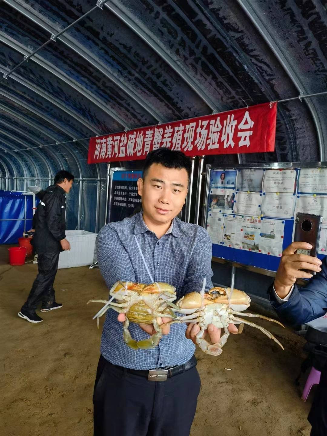 生在东海的三门青蟹 要把“第二故乡”安在宁夏戈壁滩？