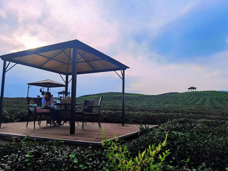 浙江余杭:众人合力打造景美人和的共富家园