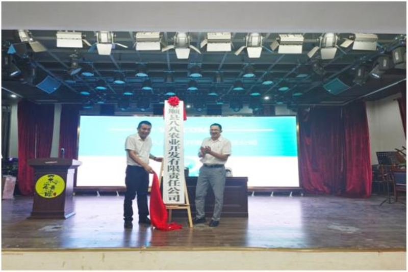 浙江泰顺东溪：成立“强村公司”，抱团发展，双向奔富！