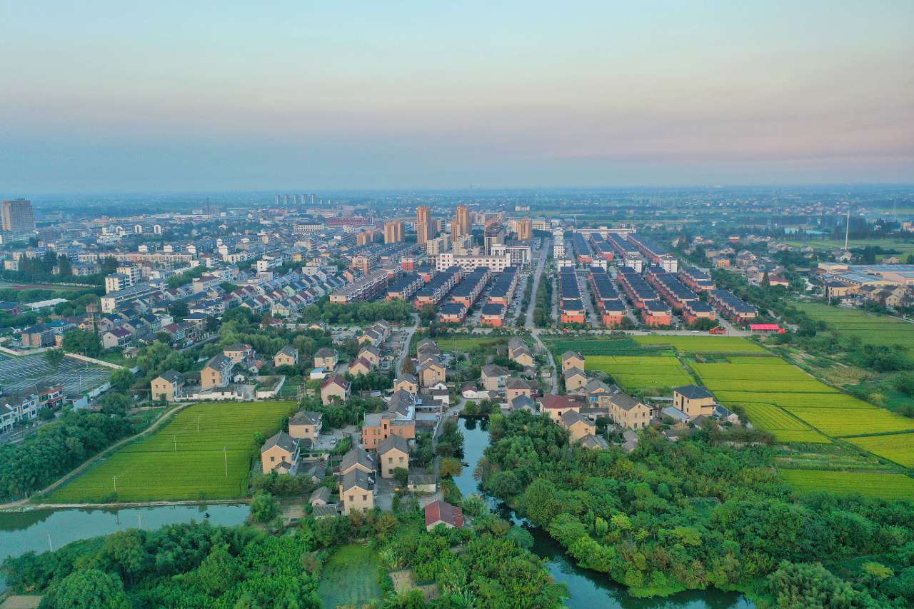 浙江海盐沈荡高质量谱写乡村振兴共富曲