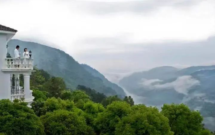 在生态友好的旅途中，爱上泰顺