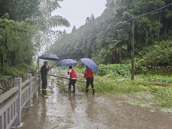 风雨中，浙江泰顺县党员先锋队一直在