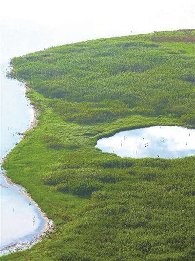 杭州钱塘大湾区省级湿地公园开园