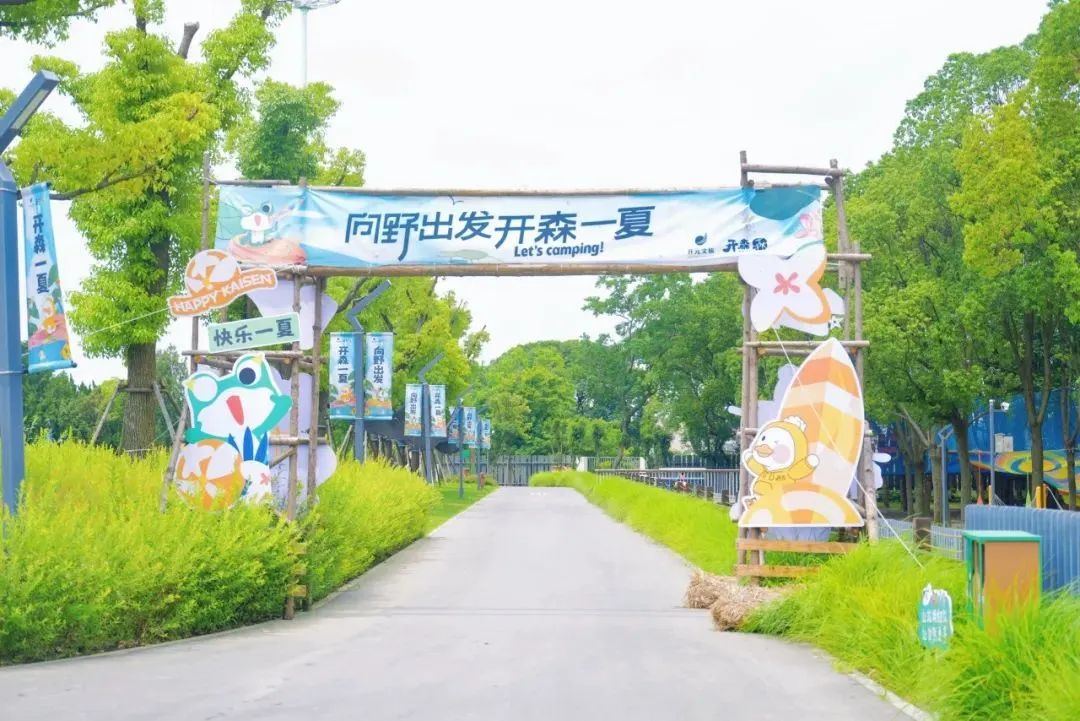 秀观察 | 票根成“消费钥匙” 浙BA秀洲主场点燃城市烟火气