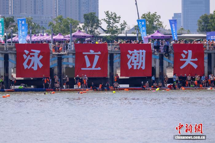 浙江杭州：2025横渡钱塘江活动引数千人竞渡