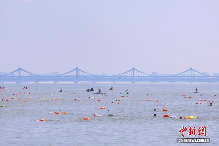 浙江杭州：2025横渡钱塘江活动引数千人竞渡