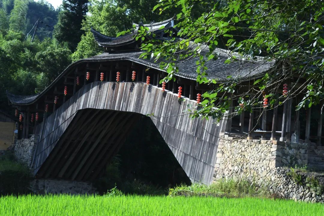 跨越25年情深：《中国国家地理》封面与泰顺廊桥边少女的故事