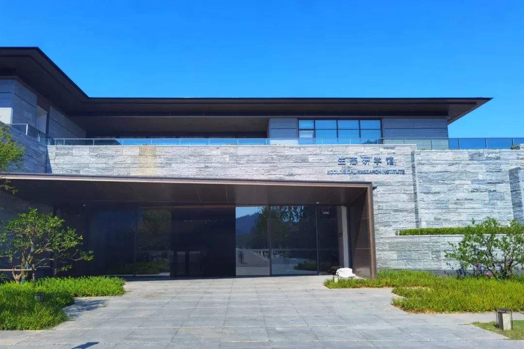 再添打卡地！临安这座新馆即将亮相，来一场沉浸式漫游吧