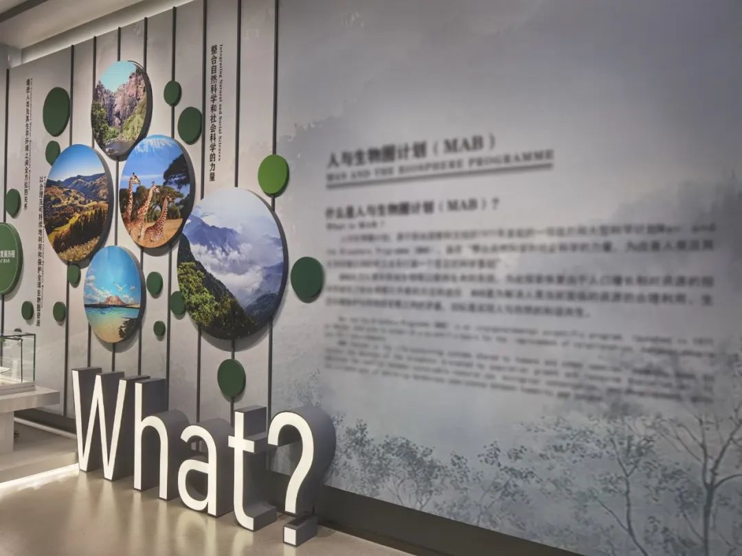 再添打卡地！临安这座新馆即将亮相，来一场沉浸式漫游吧