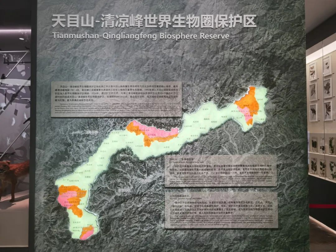 再添打卡地！临安这座新馆即将亮相，来一场沉浸式漫游吧