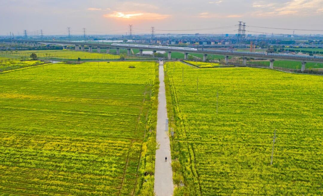 省级典型！秀洲2个入选