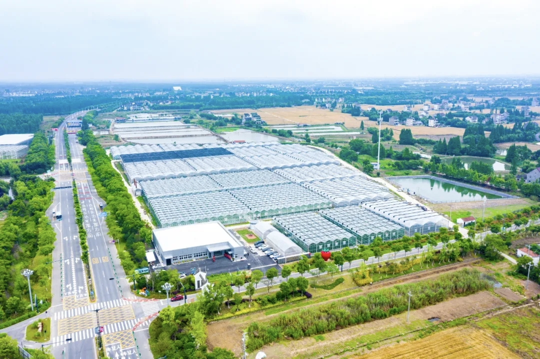 “玉”见平湖⑦丨跨省马拉松跑出长三角一体化新速度 “玉”见平湖⑦丨跨省马拉松跑出长三角一体化新速度