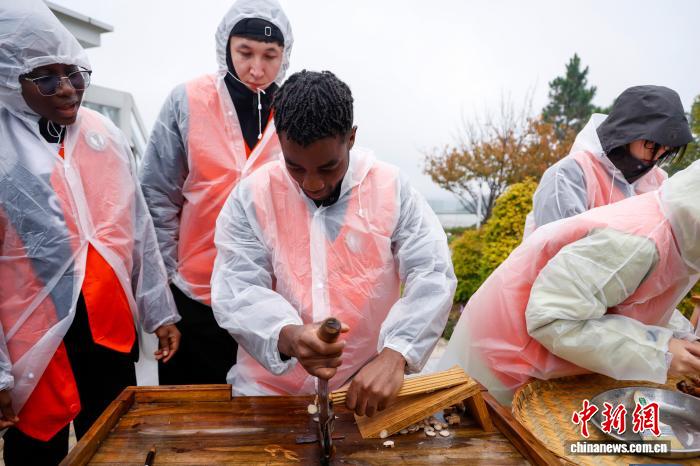 浙江金华：中外学子炮制药材 感受中草药妙用