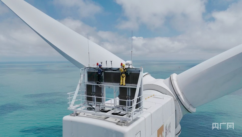 行进的海岸线｜海上风电场“种出”绿色大森林 中国海上风电连续五年居全球首位