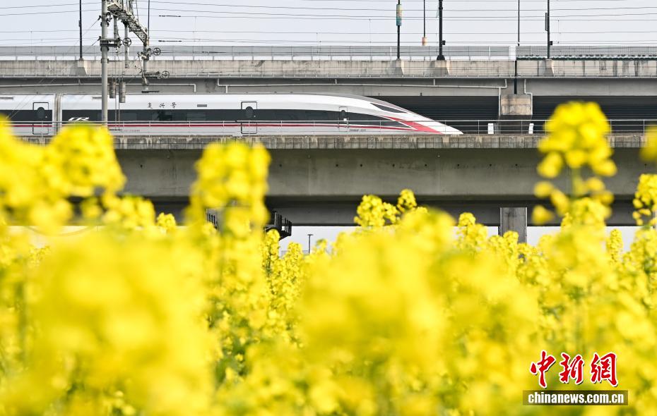 杭州“CBD花田”盛放 “开往春天的列车”吸引民众