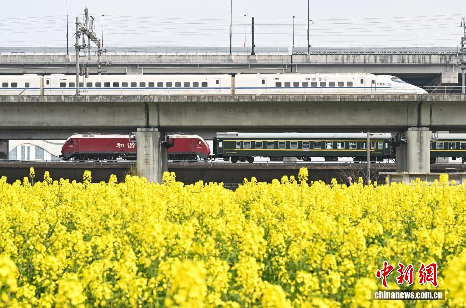 杭州“CBD花田”盛放 “开往春天的列车”吸引民众