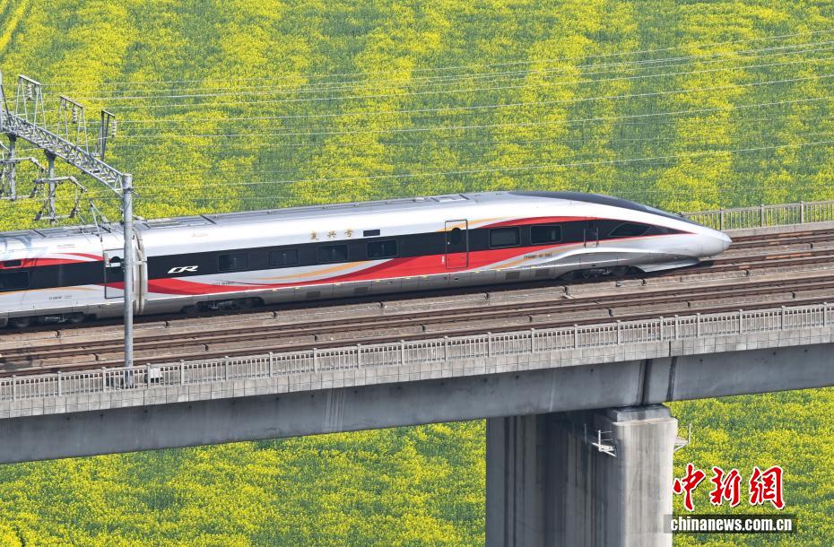 杭州“CBD花田”盛放 “开往春天的列车”吸引民众