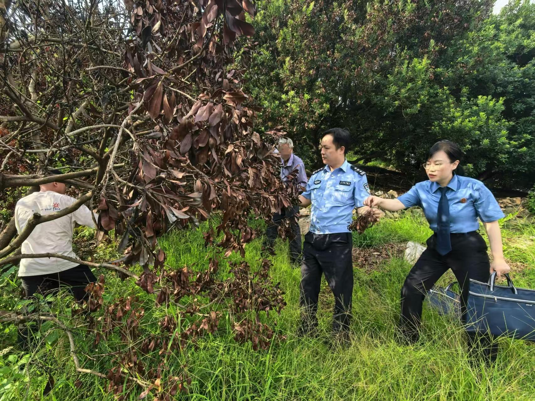 “检护民生”点亮劳动“检”影！仙居检察院荣获省五一劳动奖状