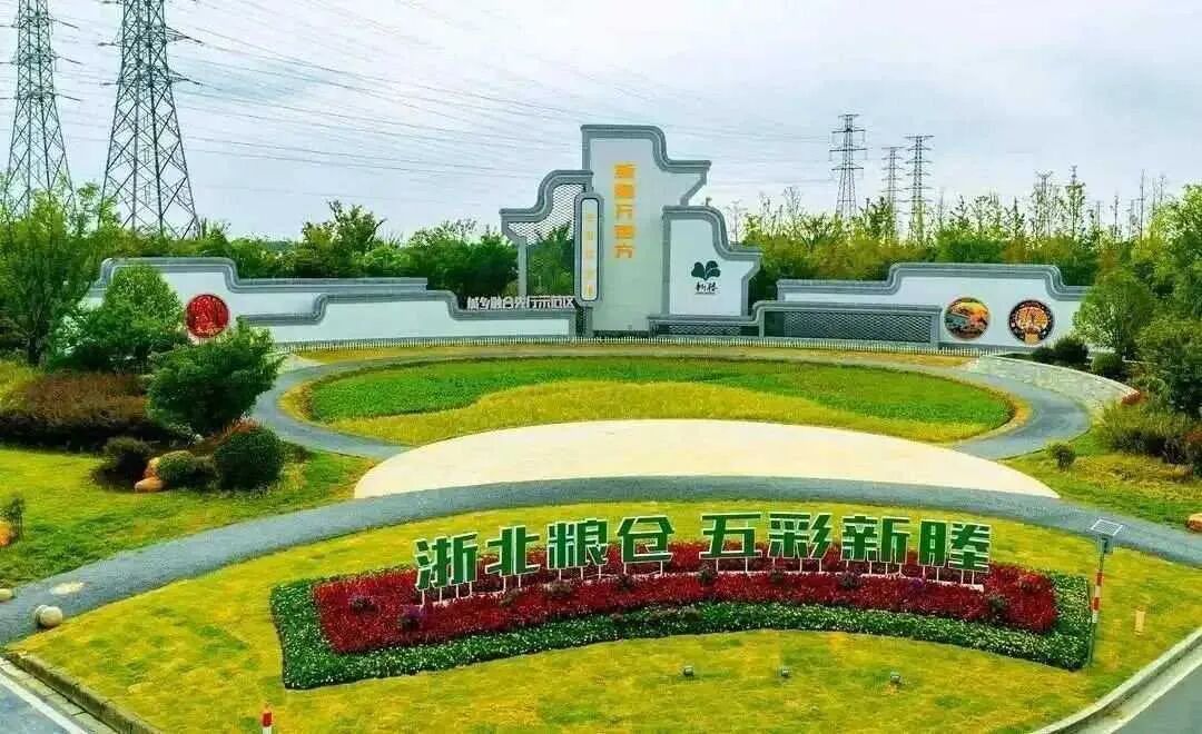 秀洲一粒米,“链”出55亿元大产业!