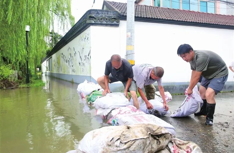 浙江湖州:齐心协力筑牢防汛安全防线