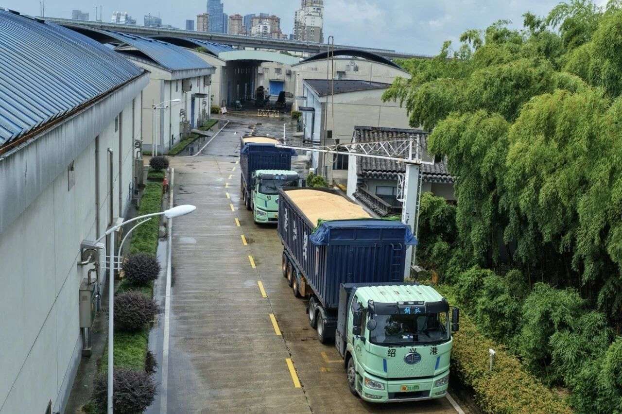 以“绿运”促转型!浙江:新能源重卡投入省级储备粮异地调运 2129698115.jpg