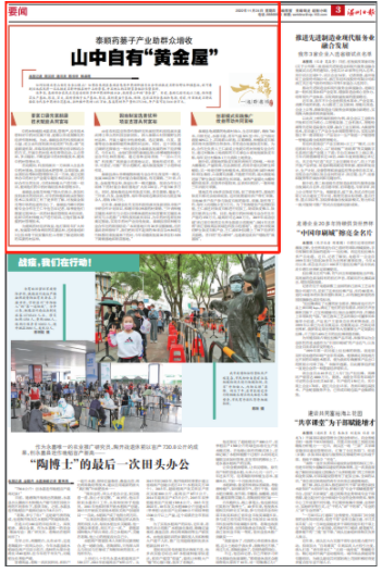 泰顺药篓子产业助群众增收 山中自有“黄金屋” 泰顺药篓子产业助群众增收 山中自有“黄金屋”