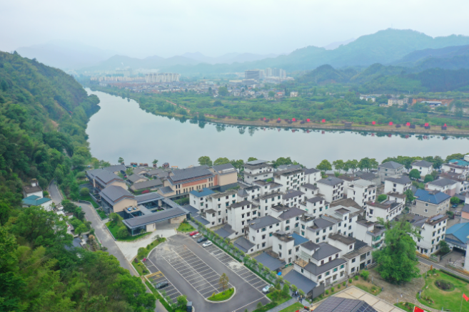 绿水青山求真意：一棵树、一片叶让开化金星村成为大山里的明星村